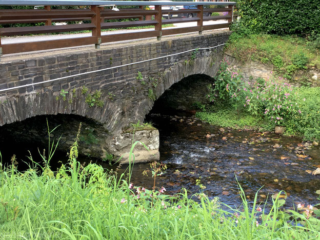 Im Tal der kleinen Dhron
