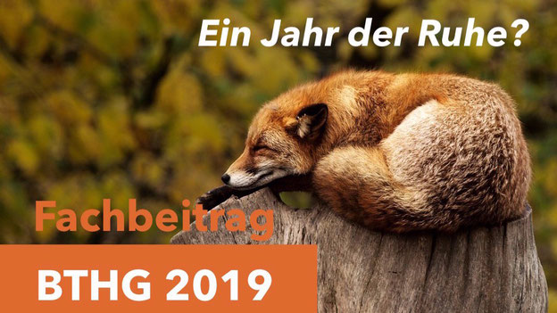 BTHG, Bundesteilhabegesetz Änderungen 2019 und 2020