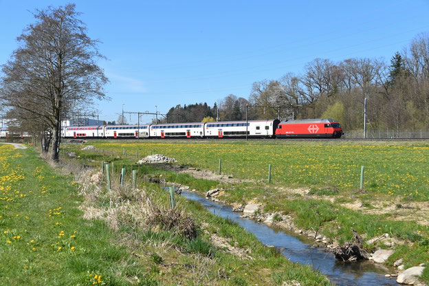 Peider Trippi