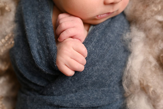 newbornshoot hellevoetsluis regio rotterdam