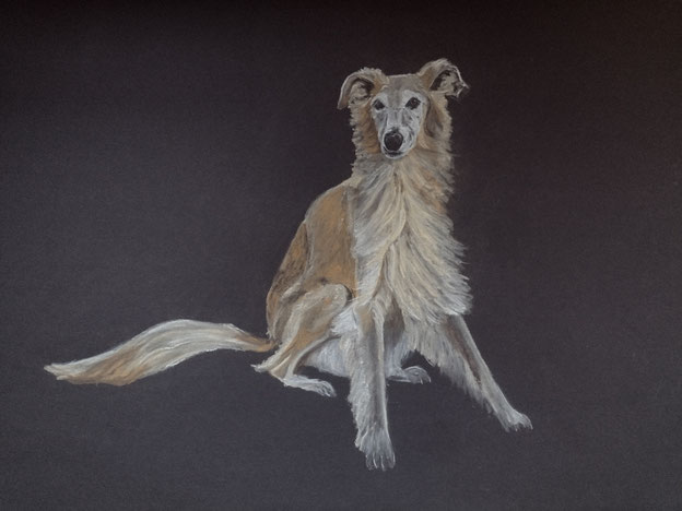 Henry II, Pastell, 70 x 50 cm, 2024