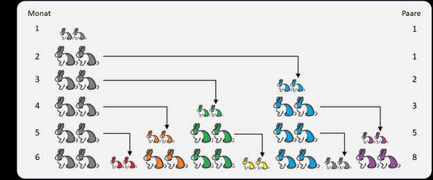 Kaninchenpopulation und Fibonacci-Folge
