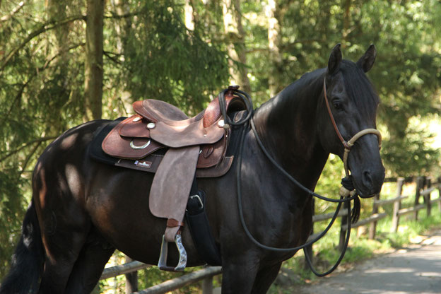 Reiterin Carmen und Hengst Tango mit einem Westernsattel.