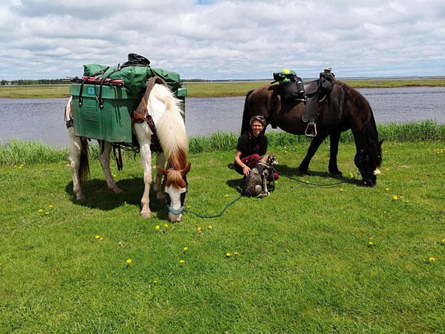 Kundin Stefanie mit ihren Canadian Horses auf einem Wanderritt über den Trans Canada Trail