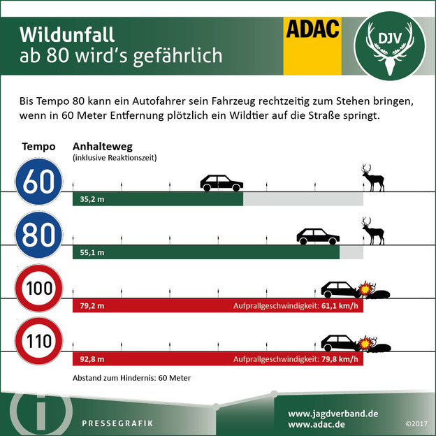 Je schneller die Geschwindigkeit des Autos, desto länger ist der Anhalteweg. Quelle: DJV