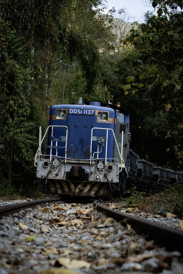 DD51 1137+ホッパ車8両 NamTok - SaiYokNoi