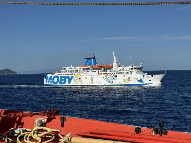 Moby Lines ist bekannt für seine großflächigen knalligen Comicfiguren auf den Schiffsrümpfen. Die Reederei setzt auf Wiedererkennungswert, insbesondere bei Familien mit Kindern. 