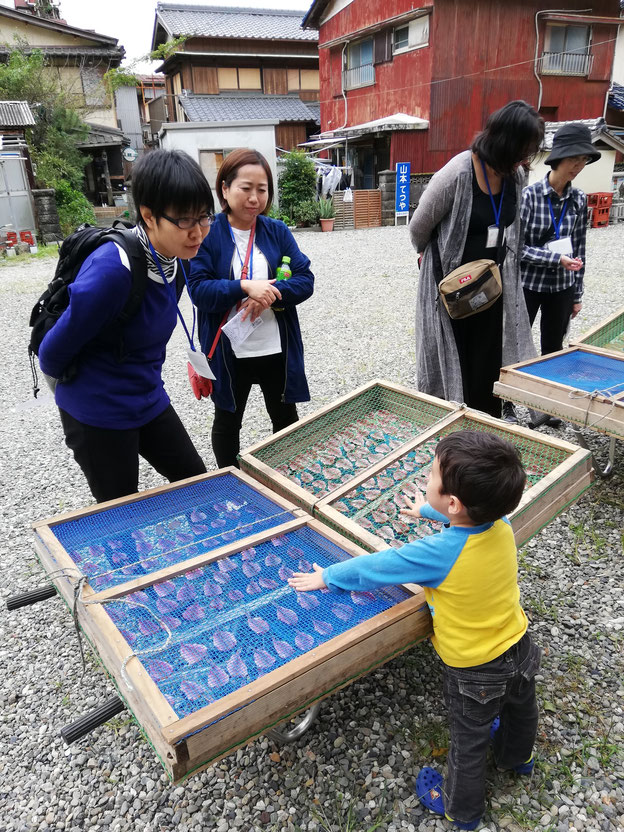 干物の干し台見る参加者