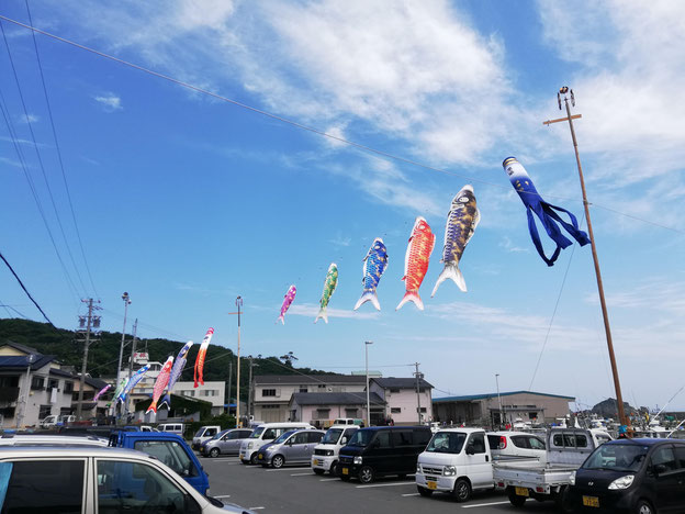 駐車場の上を泳ぐ鯉のぼり