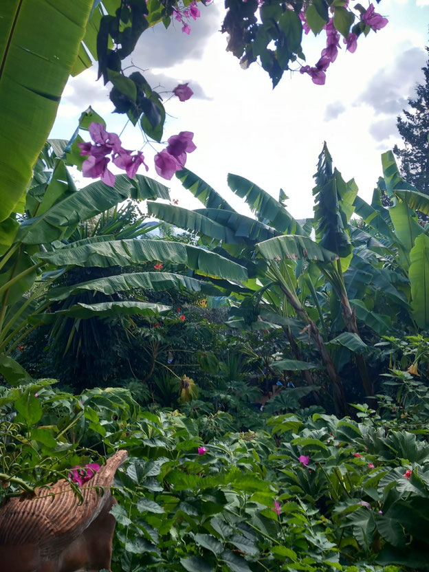 Panorama Notos