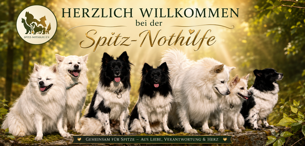 Hilfe für Spitze in Not