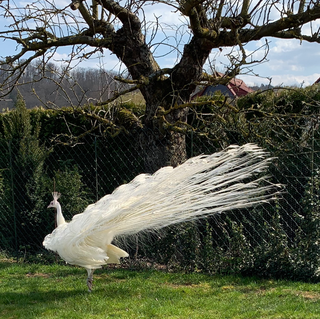 Frühling 2019