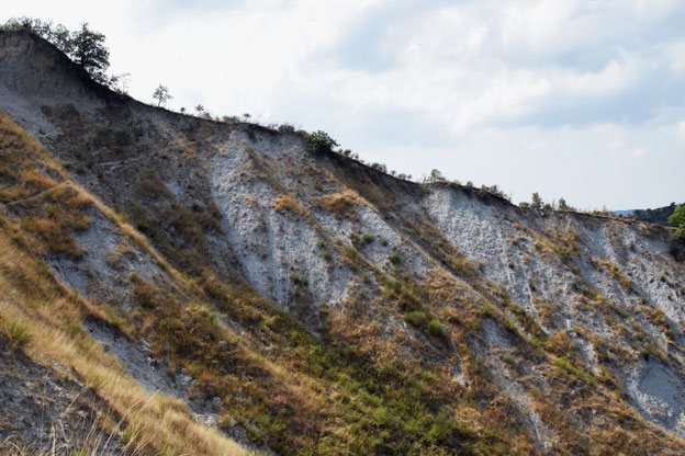 Porzione di calanco del Rio Rocca.