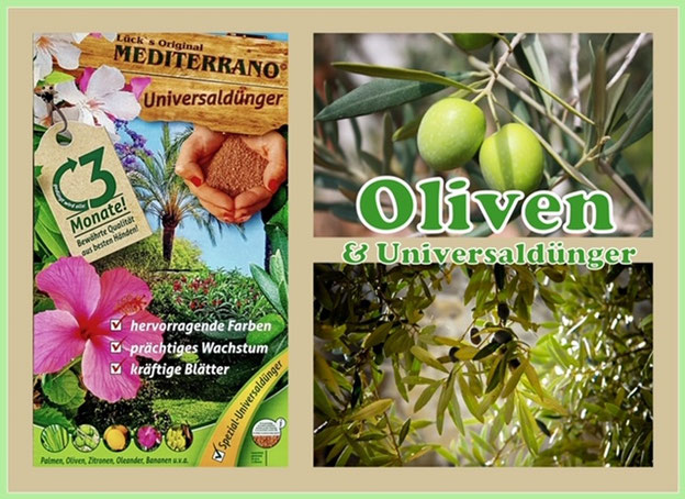 Palmen Universaldünger