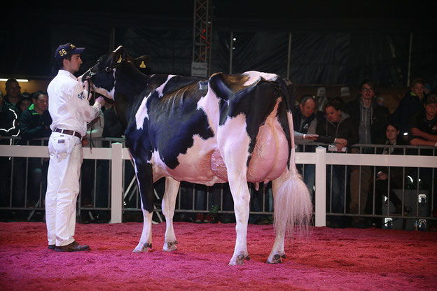 Gesamtsiegerin Holstein: Atwood Royal von Rupert Wenger Maishofen