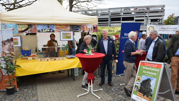 Die Rotarier verkauften kleine Ess-Kastanien. Ein großes Exemplar hatten sie am vergangen Wochenende am Freizeitsee gepflanzt
