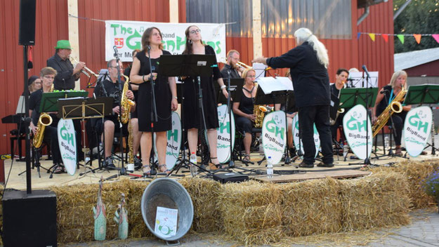 Trotz des ungewöhnlichen Auftrittsortes begeisterten die Greenhorns mit einem differenzierten Sound