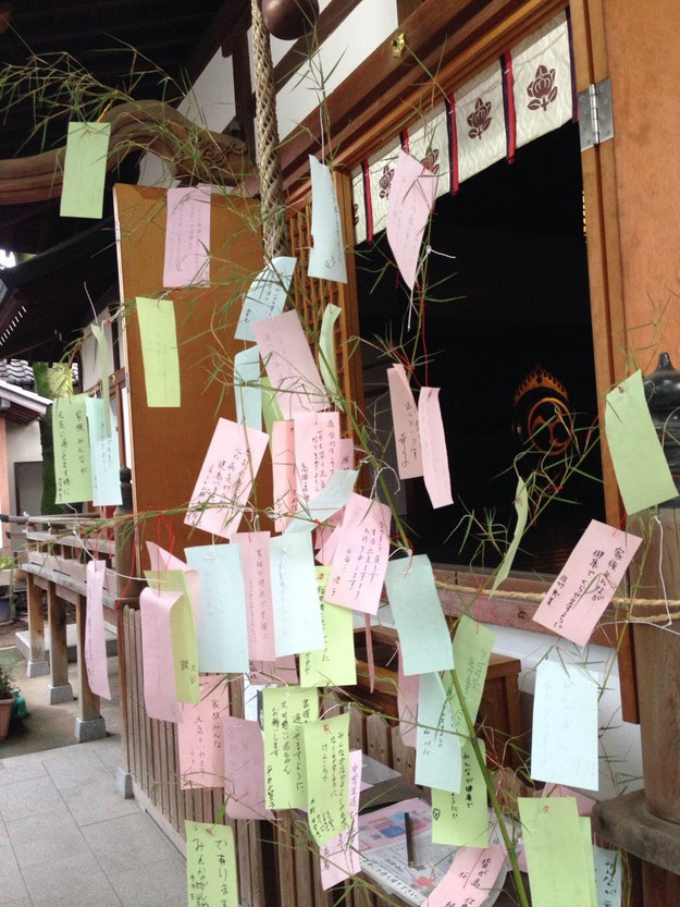 尼崎市皇大神社 七夕