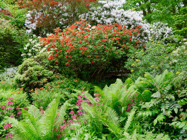Gartenreise England Sehenswürdigkeiten Dottington Place and Gardens