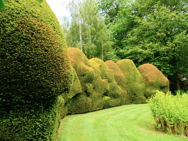 Gartenreise England Sehenswürdigkeiten Dottington Place and Gardens Eibenhecken