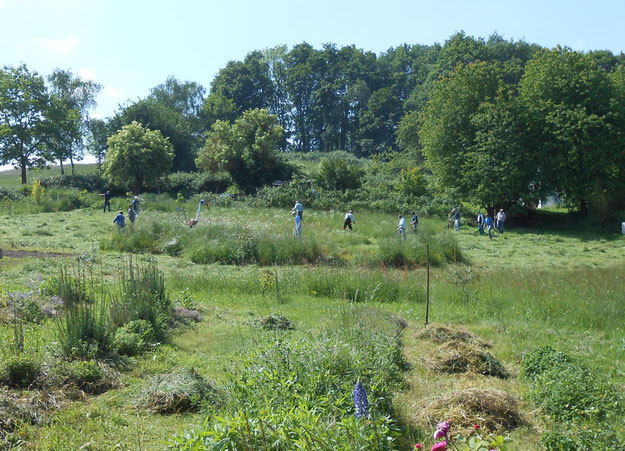 sensenlehrgang Mai2014