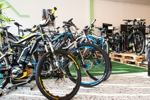 Haibike e-Bikes 2015