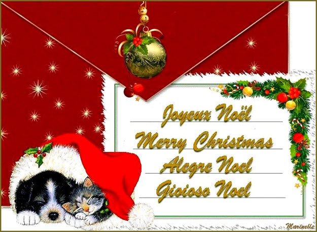 Cartes Festives : Noël, Nouvel An, St Valentin, Pâques, 1er mai, Fêtes