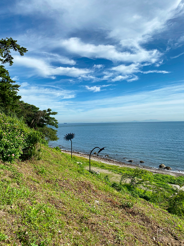 夏だ！海だ！ひまわりだ！長崎鼻（豊後高田市）