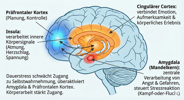 Eigene Darstellung von MindMoveArt