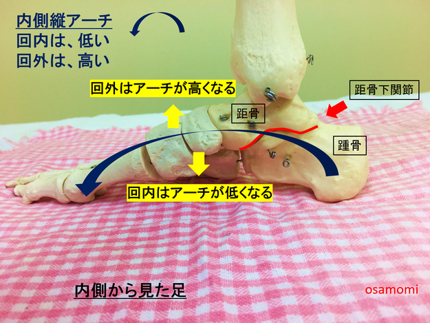 内側縦アーチ 偏平足 昭島市の足膝専門、オサモミ整体院。