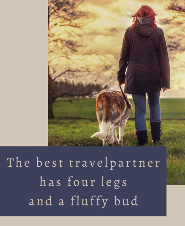 vakantie met honden