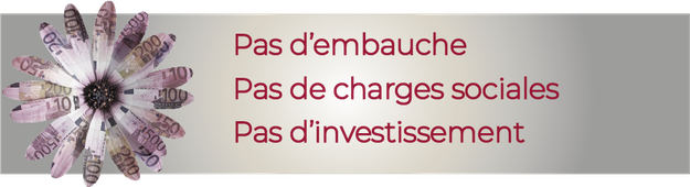 Avantages budget : pas d'embauche, pas de charges sociales, pas d'investissements
