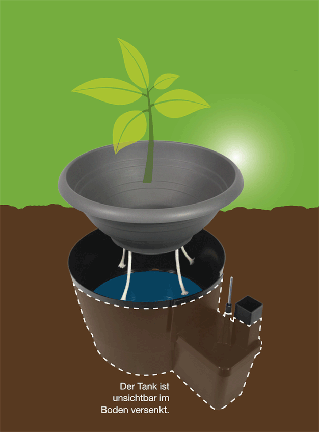 Pflanz- & Bewässerungssystem mit Tank - | Curaflora