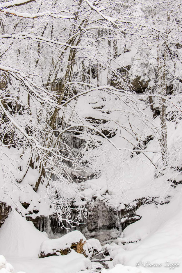 Campigna: nevicata di fine febbraio 2018