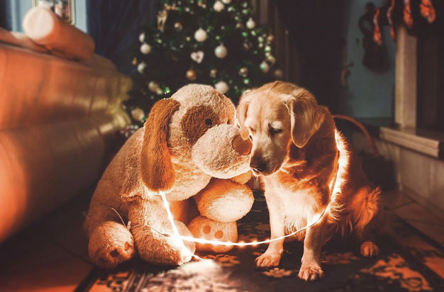Xiaomi - lightstrip - luci - technology - Olimpietta - neon
