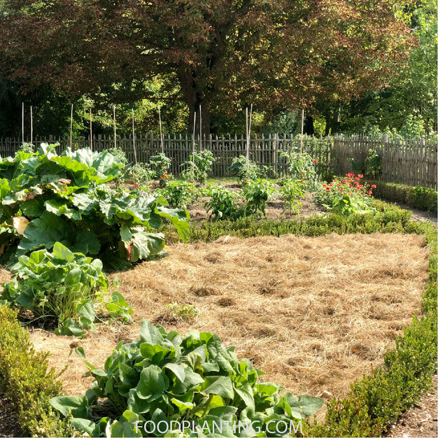 Mulch illustratie