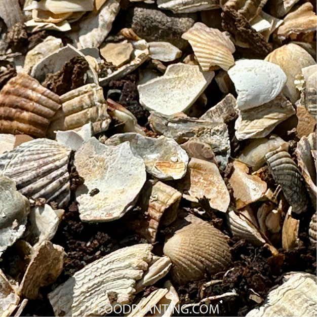 Mulch illustratie