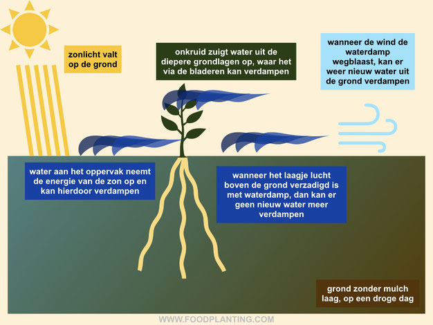 water verdamping met mulchlaag op een droge dag