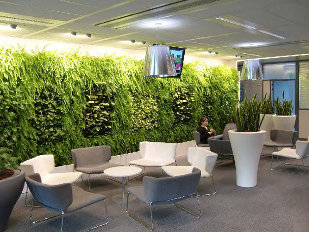 mur de végétation dans une entreprise