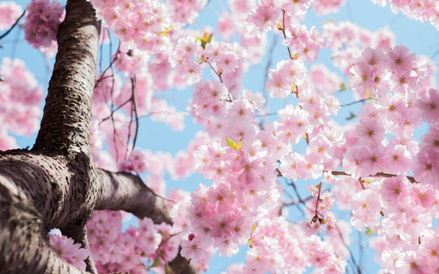 wanneer begint de lente 2021?
