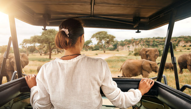 Safari-Reise in Tansania