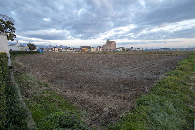 昨年４月より定点観測してきた泉橋酒造が栽培する雄町の田んぼ。今回で最終回です。季節ごとに変化を見せるこの光景が、時代が変わっても脈々と繰り返されていくことを祈ります。