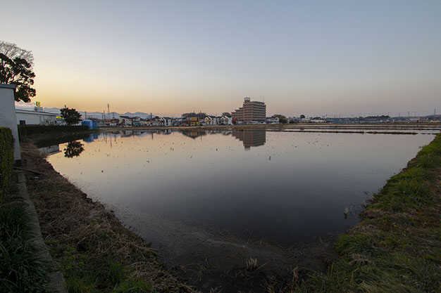 日没直後の冬期湛水田。冷たく澄んだ空気、音のないこの景色が「田んぼとは神聖な場所」なのだと思い出させる。