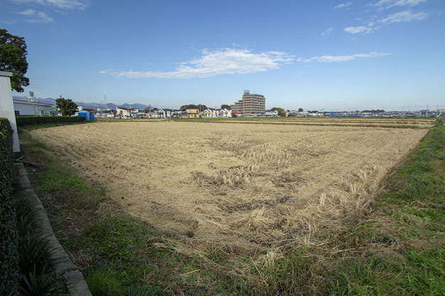 無事に収穫を終えた田んぼ。少しさみしい・・・けど、澄んだ空気が心地良い。次は冬期湛水！