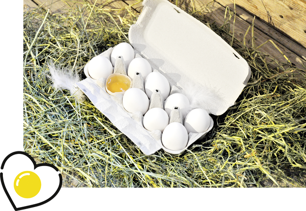 Eier, Eierverpackung, Huhn, Stroh, Eigelb, Hof Herzige
