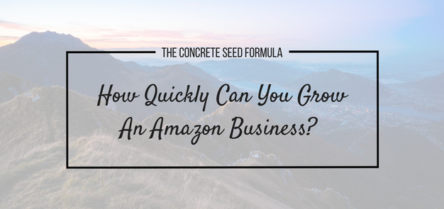 Growing Amazon Business