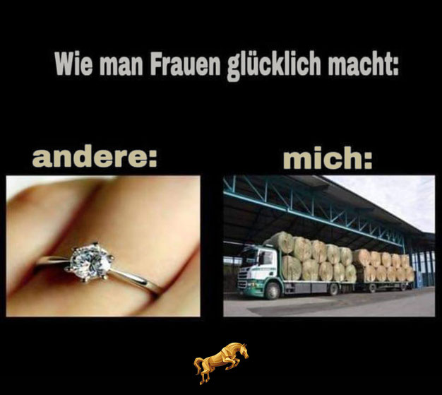 Sommer, Sonne, schlechte Heuerente bei Versicherungen Marx, der Nr.1