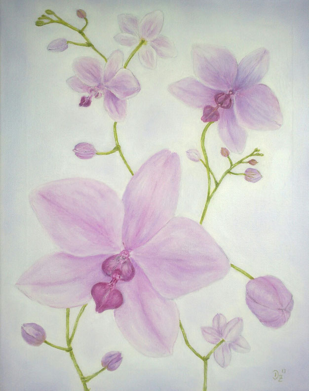 Orchideen - Öl - 2013