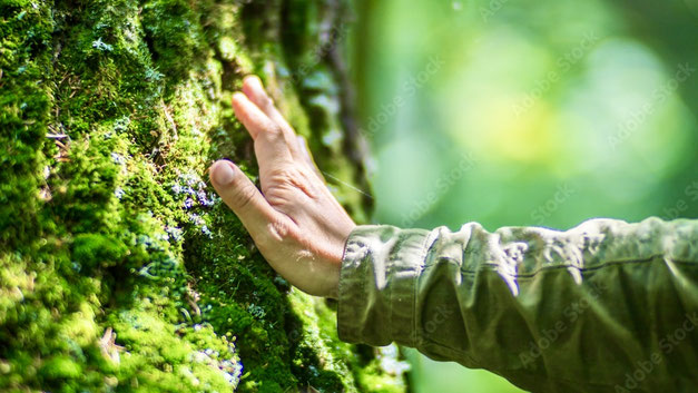 "Erde dich: Die Natur als Quelle deiner inneren Kraft." - Nahaufnahme von einer Hand, die sanft über moosbewachsener Baum streicht , mit unscharfem Waldhintergrund.