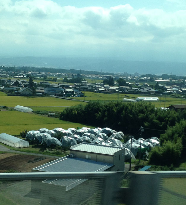 高速バスの車窓から見る佐久平のぽこぽこ